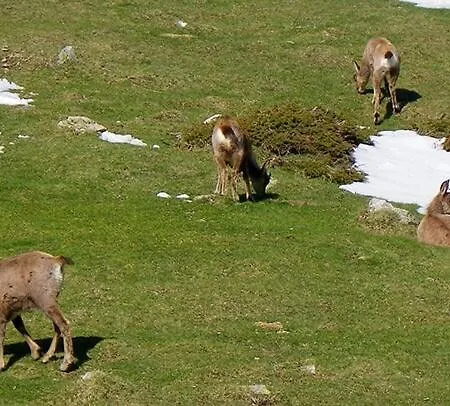 Setcases-vallter Mitja Pensio 2